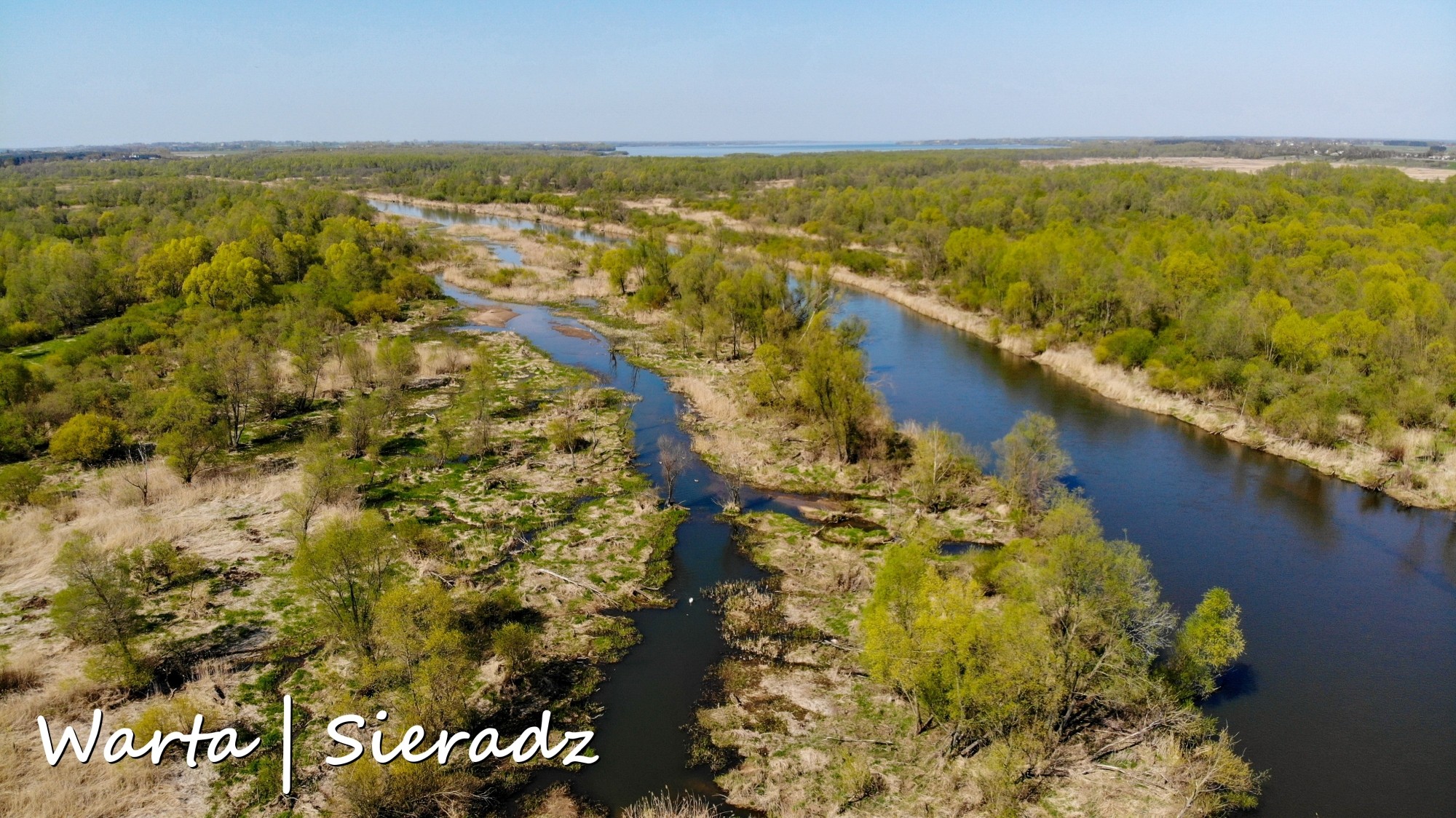 Najbardziej malownicze polskie rzeki widziane z lotu ptaka. Zobacz je na zdjęciach lub filmie w jakości 4K