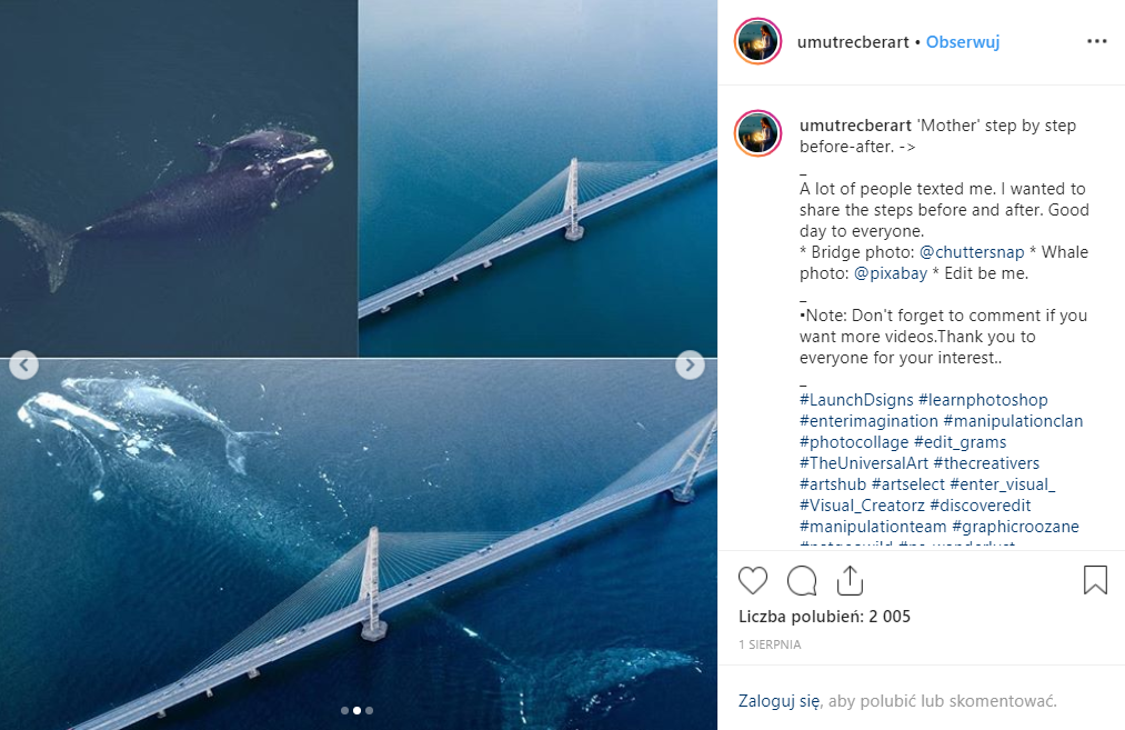 Jak powstał fotomontaż przedstawiający wieloryba